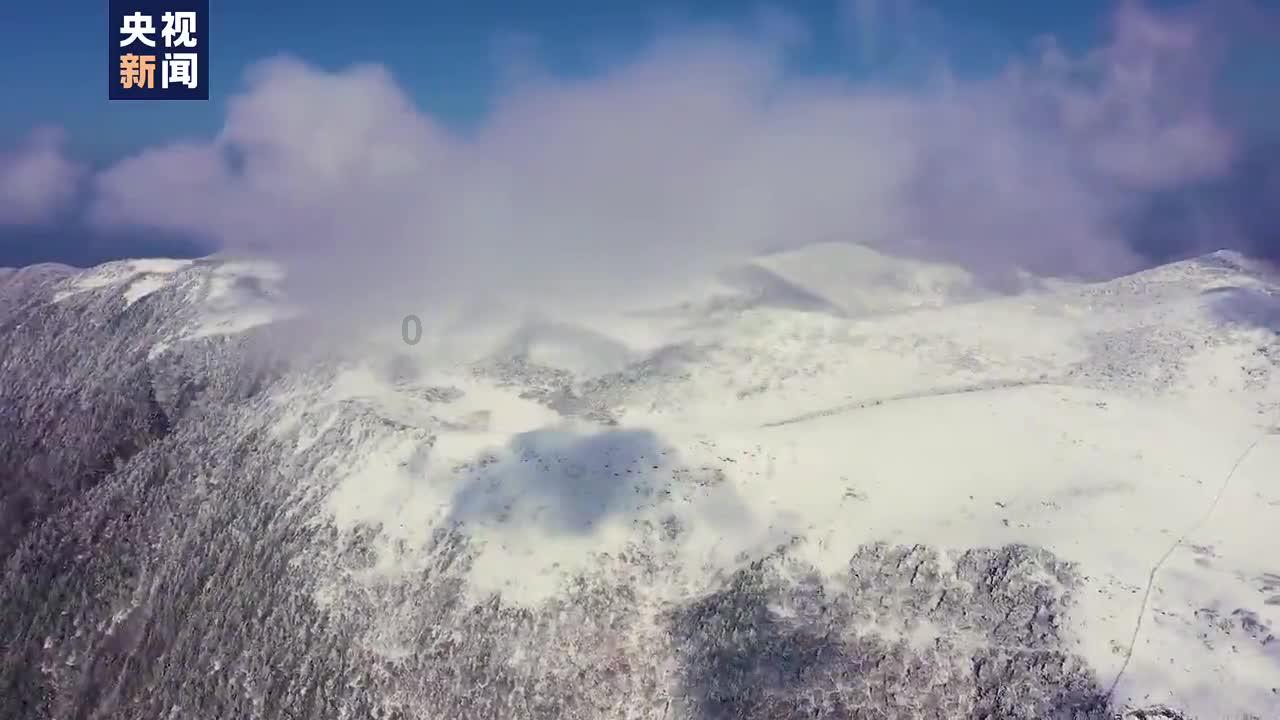 遗失之森