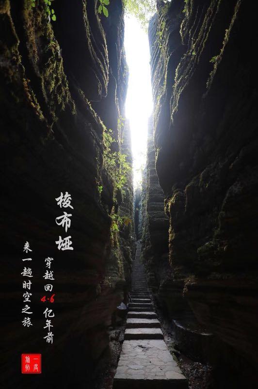 哈佛大学博士后申请流程是什么?