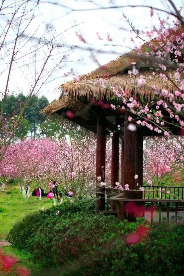 旅游公司出境游许可证的申请详细要求
