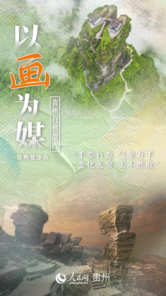 蓝狐视频