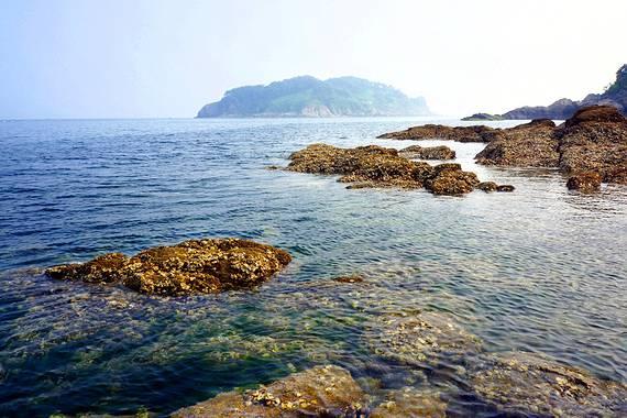 黄金AK闯迷宫