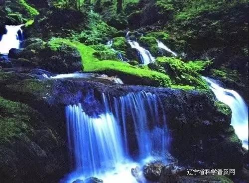 万词王