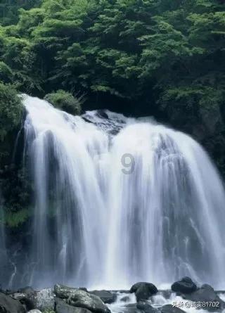 品味章丘｜上百盒“跨季”香椿芽40分钟销售一空