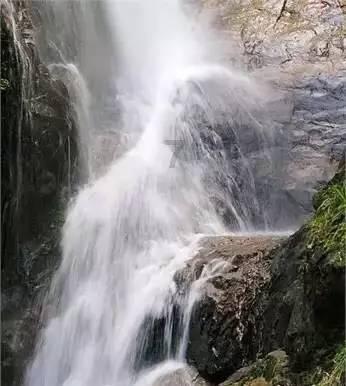 绯雨骑士团